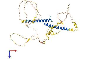 AlphaFold protein structure predicition of Mouse Recombinant Bhlhe22 Protein, UniprotID Q8C6A8