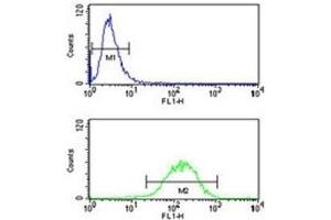 IL-1 antibody flow cytometry analysis of NCI-H460 cells (bottom histogram) compared to a negative control (top histogram).