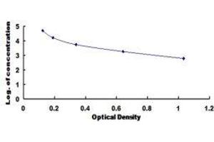 ELISA image for Albumin (ALB) ELISA Kit (ABIN431348)