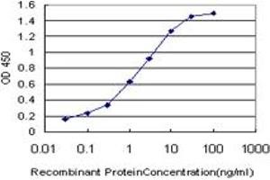 anti-Single-Minded Homolog 2 (SIM2) (AA 426-526) antibody