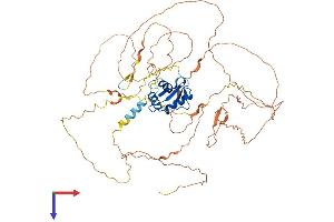 AlphaFold protein structure predicition of Human Recombinant ELF1 Protein, UniprotID P32519