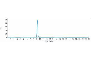 The purity of Anti-FGFR3 / CD333 Reference Antibody (LY3076226) is more than 95 % , determined by SEC-HPLC. (Recombinant FGFR3 anticorps)
