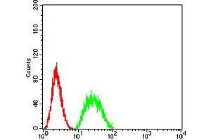 Flow cytometric analysis of Hela cells using BIN1 mouse mAb (green) and negative control (red).