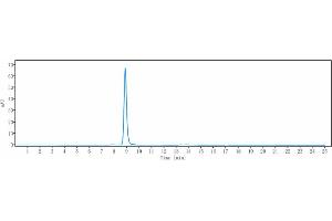 anti-CCR2 (Plozalizumab Biosimilar) antibody