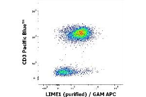 Flow cytometry multicolor intracellular staining of human peripheral whole blood stained using anti-LIME1 (LIME-06) purified antibody (concentration in sample 9 μg/mL, GAM APC) and anti-human CD3 (UCHT1) Pacific Blue antibody (20 μL reagent / 100 μL of peripheral whole blood).