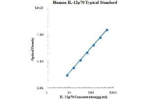 ELISA image for Interleukin 12 (IL12) ELISA Kit (ABIN2472073)