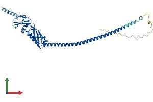 AlphaFold protein structure predicition of Human Recombinant ERLIN2 Protein, UniprotID O94905