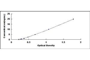 Typical standard curve (BHMT Kit ELISA)