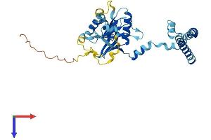 AlphaFold protein structure predicition of Human Recombinant PSMD14 Protein, UniprotID O00487