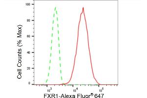 Flow cytometric analysis of FXR1 expression in HepG2 cells using FXR1 antibody (ABIN7798658), 1:2,000).