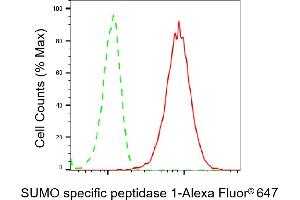 Flow cytometric analysis of SUMO specific peptidase 1 expression in HepG2 cells using SUMO specific peptidase 1 antibody (ABIN7800975), 1:2,000). (Recombinant SUMO Specific Peptidase 1 anticorps)