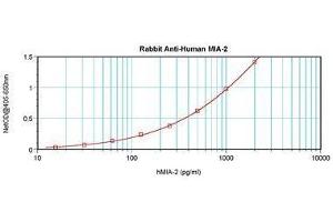 Image no. 5 for anti-Melanoma Inhibitory Activity Protein 2 (MIA2) antibody (ABIN464847) (MIA2 anticorps)