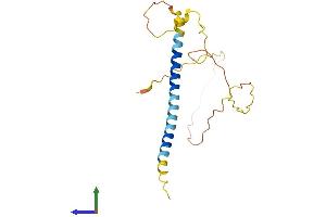 AlphaFold protein structure predicition of Mouse Recombinant Bmf Protein, UniprotID Q91ZE9