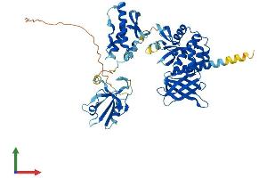 AlphaFold protein structure predicition of Mouse Recombinant Snx27 Protein, UniprotID Q3UHD6
