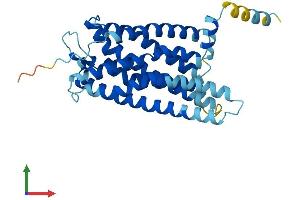 AlphaFold protein structure predicition of Human Recombinant GPR171 Protein, UniprotID O14626