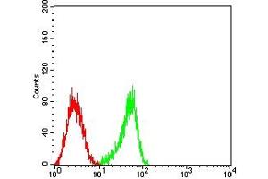 Flow cytometric analysis of HL-60 cells using CD53 mouse mAb (green) and negative control (red). (CD53 anticorps)