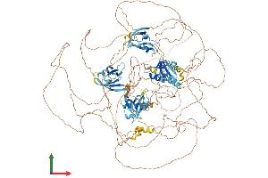 AlphaFold protein structure predicition of Mouse Recombinant Il16 Protein, UniprotID O54824