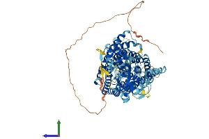 AlphaFold protein structure predicition of Human Recombinant CLCN7 Protein, UniprotID P51798