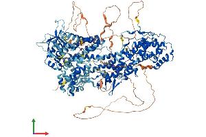 AlphaFold protein structure predicition of Human Recombinant SOS1 Protein, UniprotID Q07889