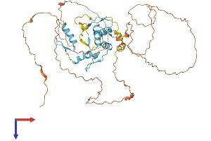 AlphaFold protein structure predicition of Human Recombinant ZIC3 Protein, UniprotID O60481