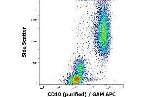 Flow cytometry surface staining pattern of human peripheral whole blood stained using anti-human CD10 (MEM-78) purified antibody (concentration in sample 1 μg/mL, GAM APC).