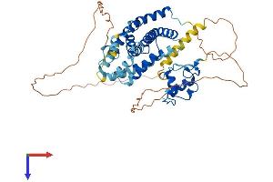 AlphaFold protein structure predicition of Mouse Recombinant Nr1h4 Protein, UniprotID Q60641