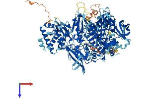 AlphaFold protein structure predicition of Mouse Recombinant Jak3 Protein, UniprotID Q62137