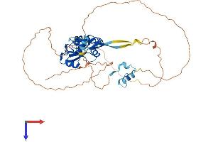 AlphaFold protein structure predicition of Mouse Recombinant Socs4 Protein, UniprotID Q91ZA6