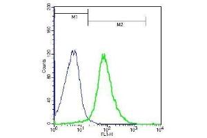Mouse splenocytes probed with Rabbit Anti-ADAM8 Polyclonal Antibody, Unconjugated .