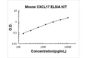 Chemokine (C-X-C Motif) Ligand 17 (CXCL17) ELISA Kit