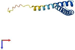 AlphaFold protein structure predicition of Mouse Recombinant Timm13 Protein, UniprotID P62075