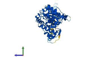 AlphaFold protein structure predicition of Human Recombinant GCNT2 Protein, UniprotID Q8N0V5