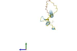AlphaFold protein structure predicition of Mouse Recombinant Pdzk1ip1 Protein, UniprotID Q9CQH0