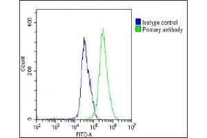 Overlay histogram showing U-251 MG cells stained with (ABIN655298 and ABIN2844885)(green line).