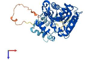 AlphaFold protein structure predicition of Mouse Recombinant Abhd5 Protein, UniprotID Q9DBL9