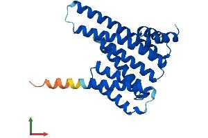AlphaFold protein structure predicition of Human Recombinant YWHAQ Protein, UniprotID P27348