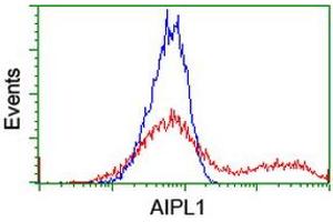 HEK293T cells transfected with either RC204079 overexpress plasmid (Red) or empty vector control plasmid (Blue) were immunostained by anti-AIPL1 antibody (ABIN2455132), and then analyzed by flow cytometry. (AIPL1 anticorps)
