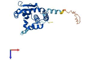 AlphaFold protein structure predicition of Human Recombinant STYX Protein, UniprotID Q8WUJ0