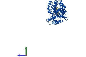 AlphaFold protein structure predicition of Human Recombinant NT5C3A Protein, UniprotID Q9H0P0