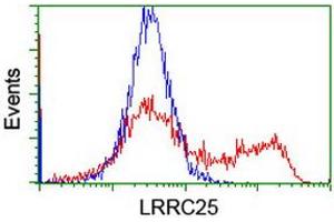 HEK293T cells transfected with either RC209911 overexpress plasmid (Red) or empty vector control plasmid (Blue) were immunostained by anti-LRRC25 antibody (ABIN2455899), and then analyzed by flow cytometry. (LRRC25 anticorps)