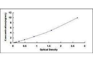 Protein Kinase C, beta 1 (Pkc beta 1) ELISA Kit