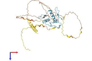 AlphaFold protein structure predicition of Mouse Recombinant Klf14 Protein, UniprotID Q19A41
