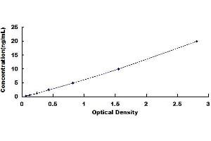 Typical standard curve (CCDC3 Kit ELISA)