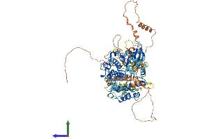 AlphaFold protein structure predicition of Mouse Recombinant Rps6ka5 Protein, UniprotID Q8C050