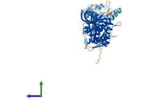 AlphaFold protein structure predicition of Human Recombinant GUCY1B1 Protein, UniprotID Q02153