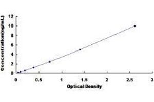 Cofilin 1 (CFL1) ELISA Kit