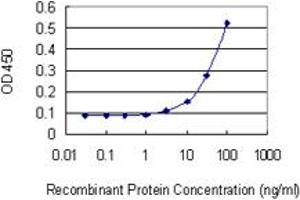 Detection limit for recombinant GST tagged DDAH1 is 3 ng/ml as a capture antibody. (DDAH1 anticorps  (AA 181-285))