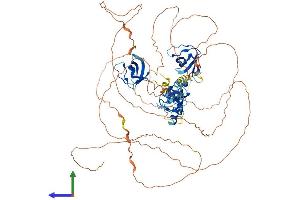 AlphaFold protein structure predicition of Human Recombinant SH3RF2 Protein, UniprotID Q8TEC5
