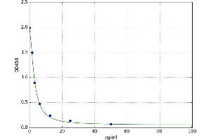 Free Thyroxine T4 (fT4) ELISA Kit