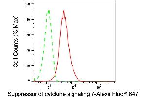 Flow cytometric analysis of Suppressor of cytokine signaling 7 expression in HepG2 cells using Suppressor of cytokine signaling 7 antibody (ABIN7800466), 1:2,000).